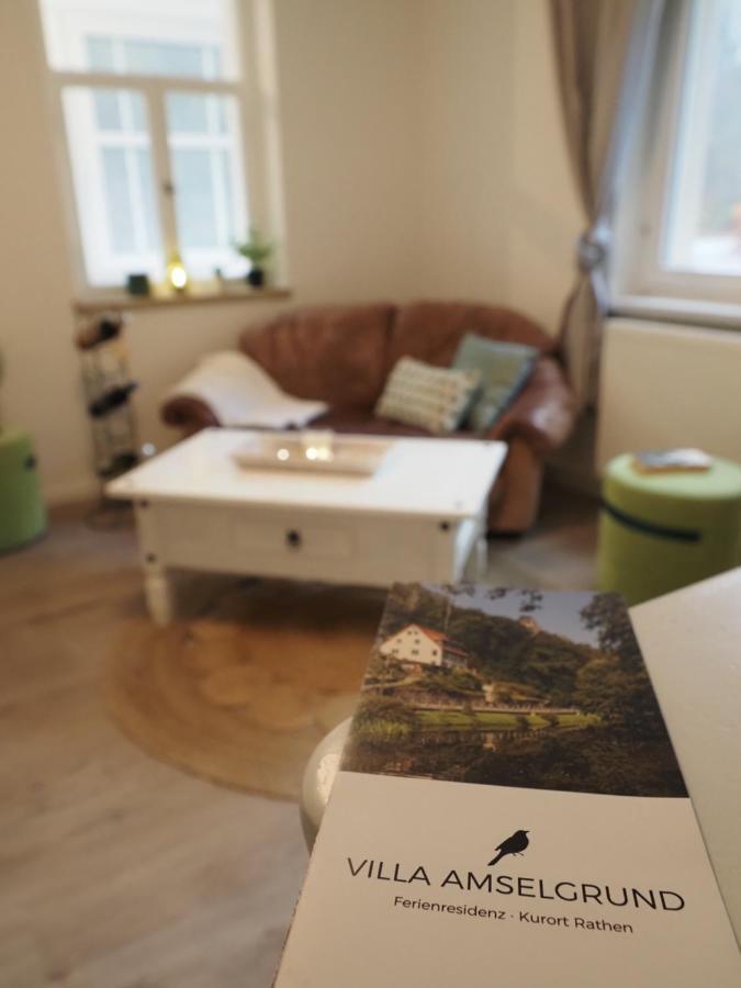 Villa Amselgrund Rathen Bagian luar foto